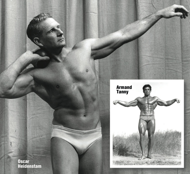 Die Evolution des Bodybuilding - Teil 2