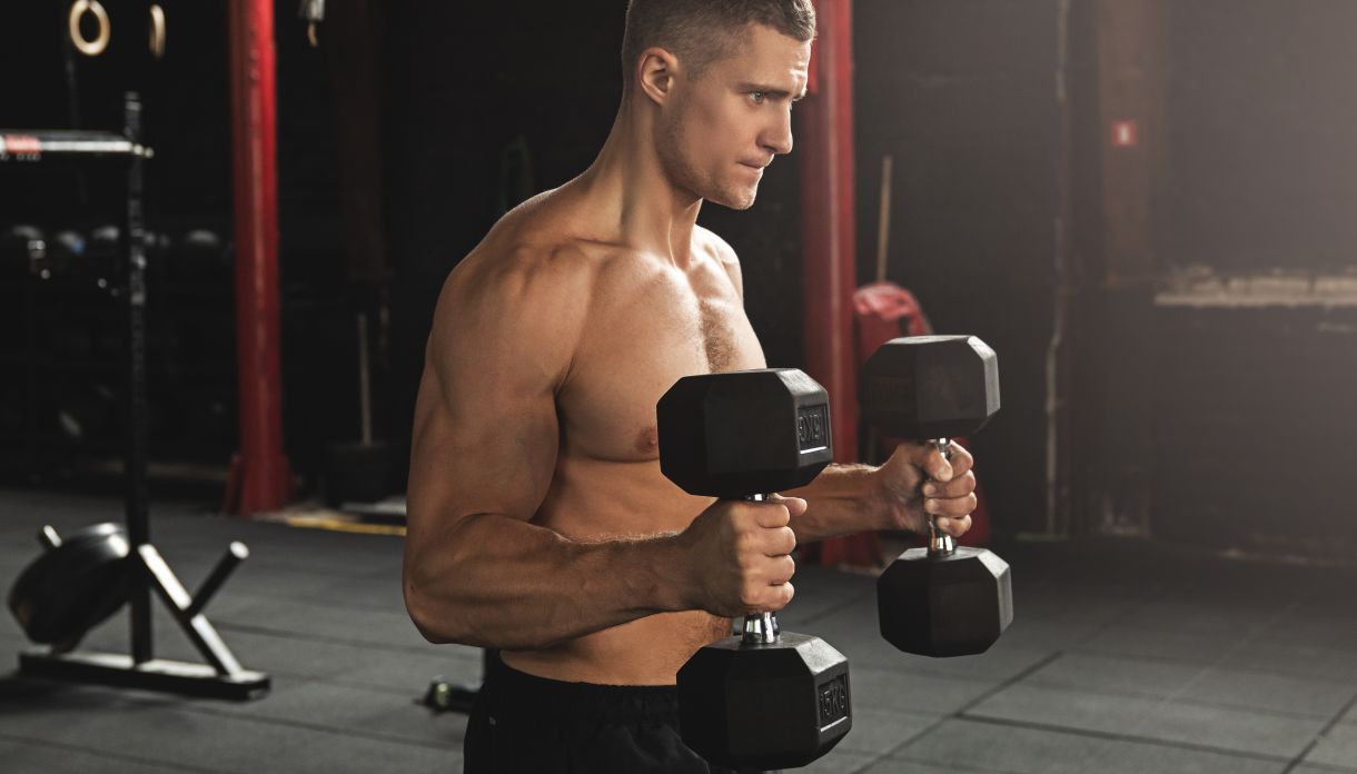 Hammer Curls Armtraining Übung Bodybuilding