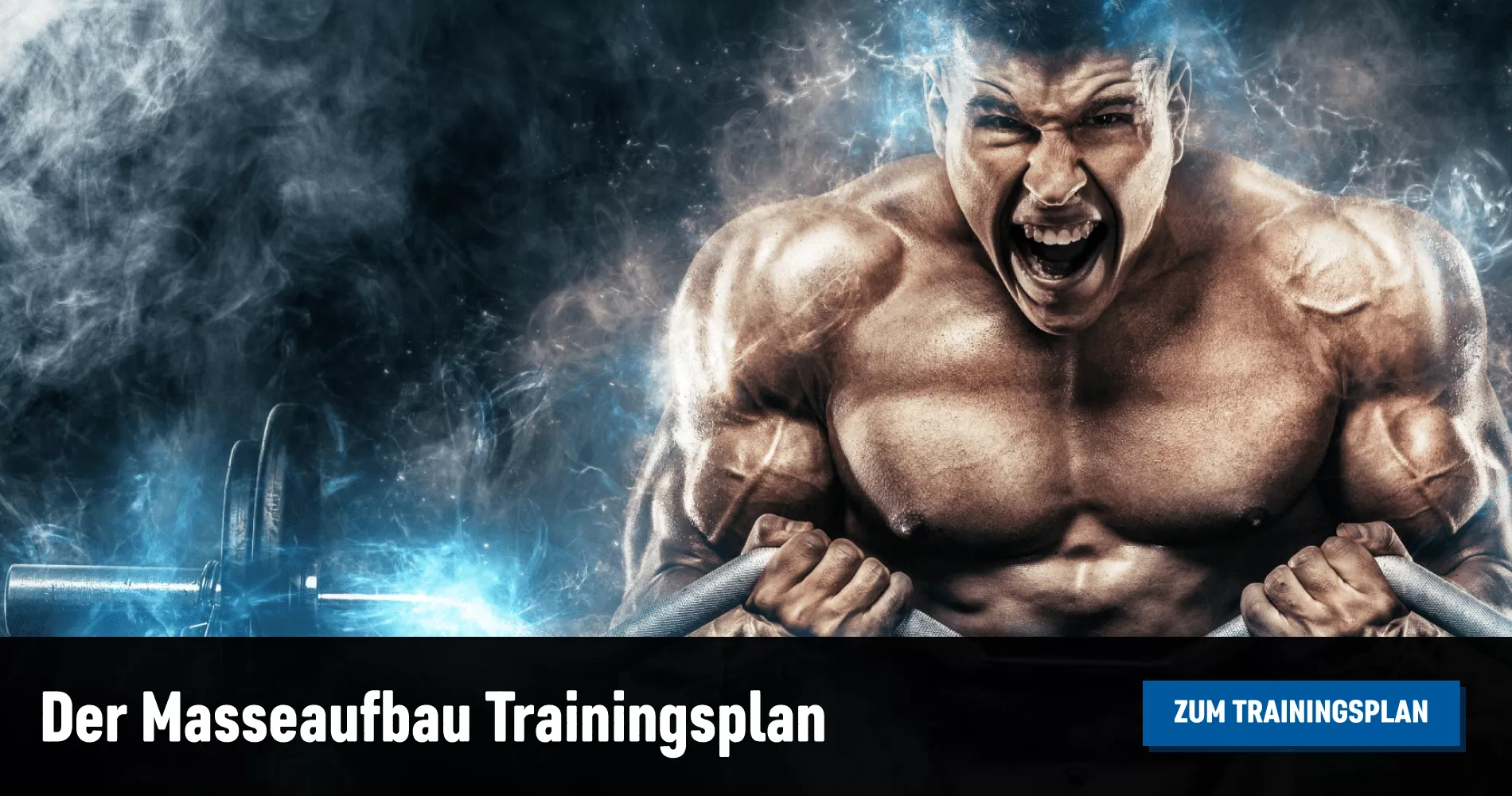 Bodybuilding_de-Masseaufbau-Trainingsplan