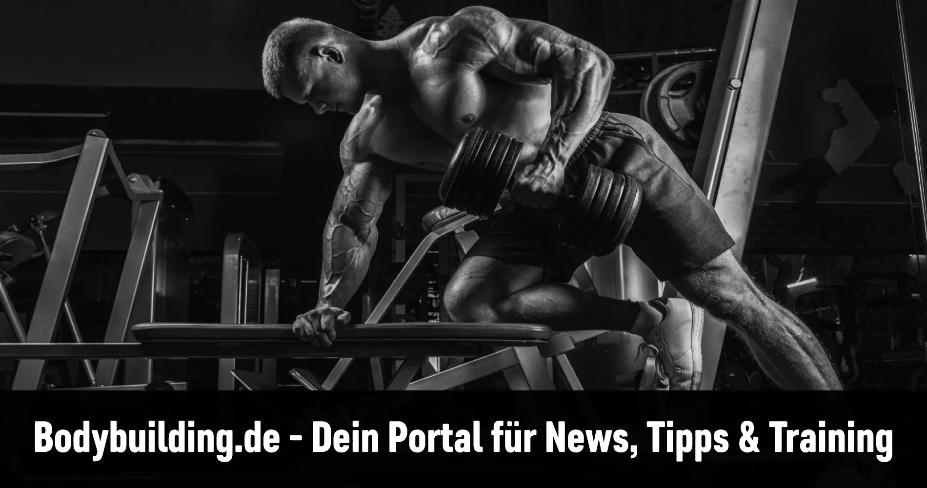 Bodybuilding_de-Portal-fuer-tipps-training