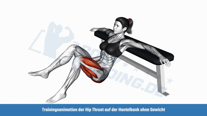 Trainingsanimation Einbeiniger Hip Thrust an der Hantelbank