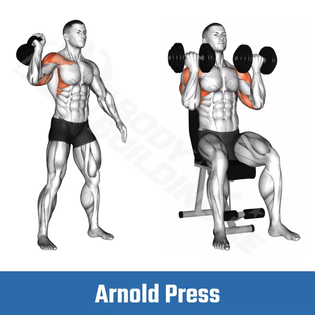 Arnold Press Fitnessübung