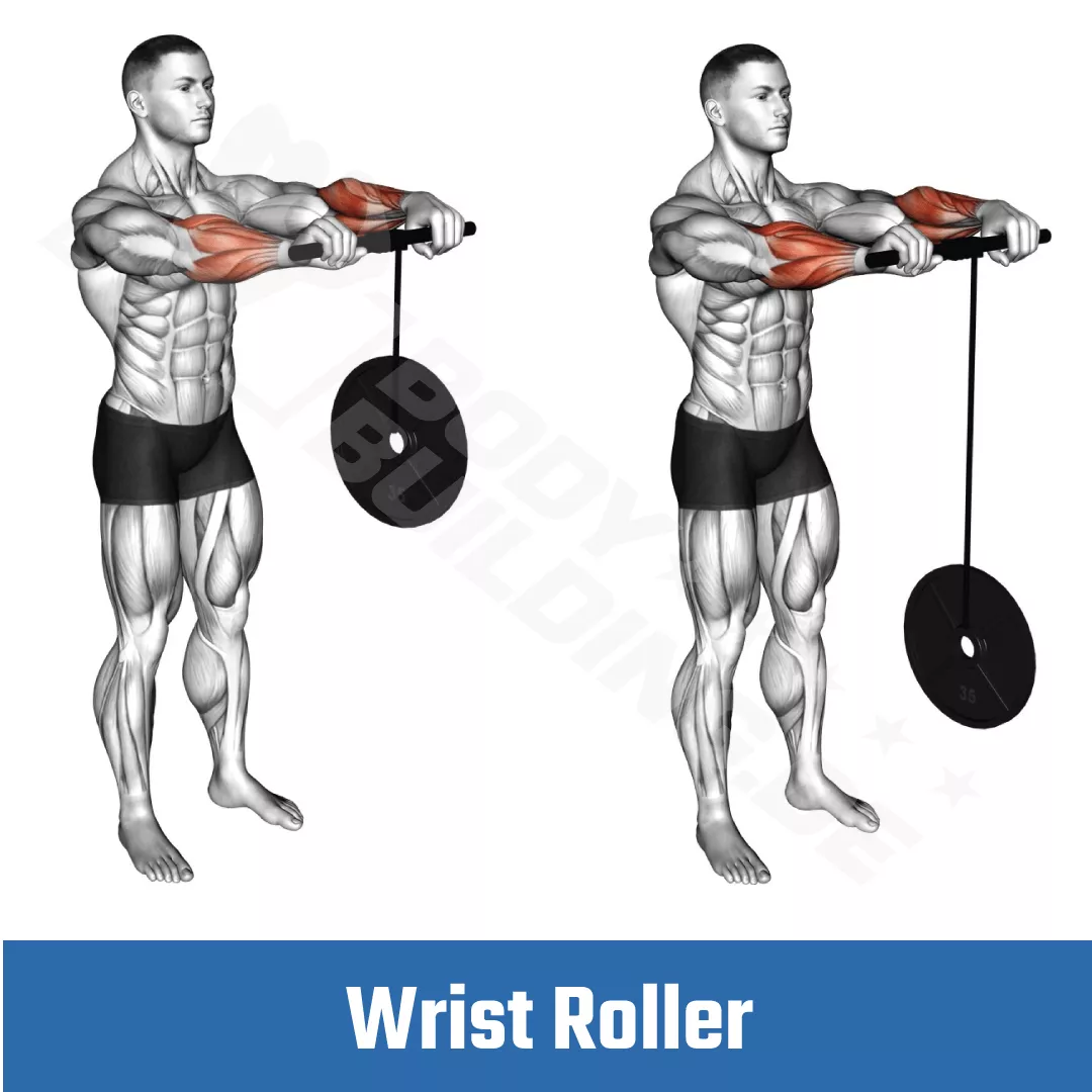 Wrist Roller Übung