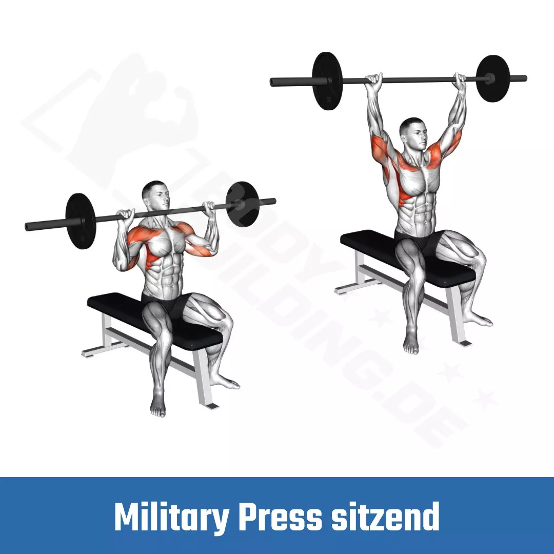 Military Press sitzend Hantelbank Fitnessübung