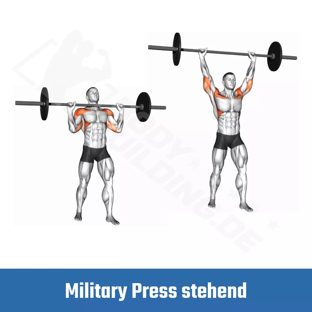 Military Press Stehend Langhanteln Fitnessübung