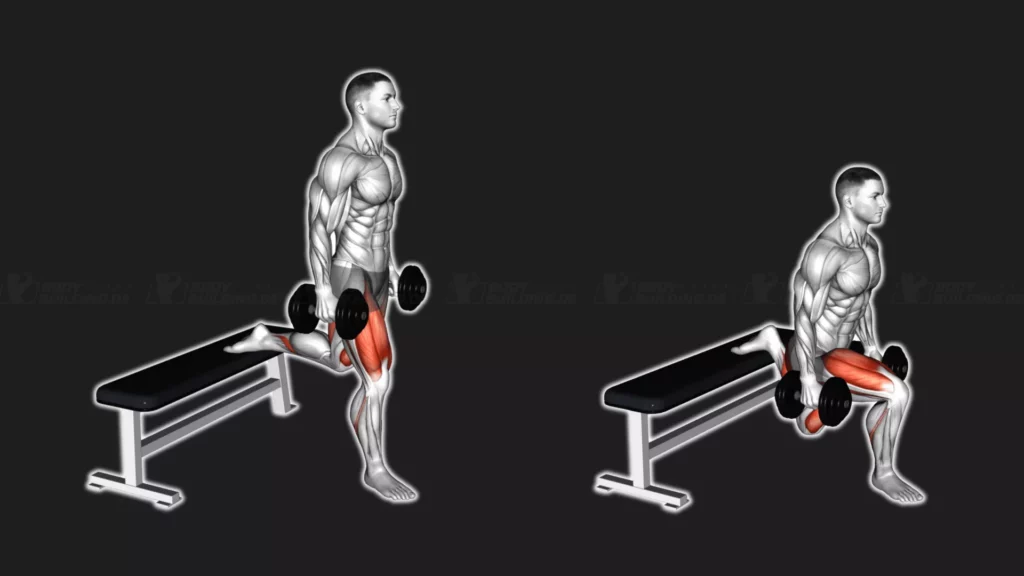 Startposition und Endposition der Fitnessübung Bulgarian Split Squats mit Kurzhanteln