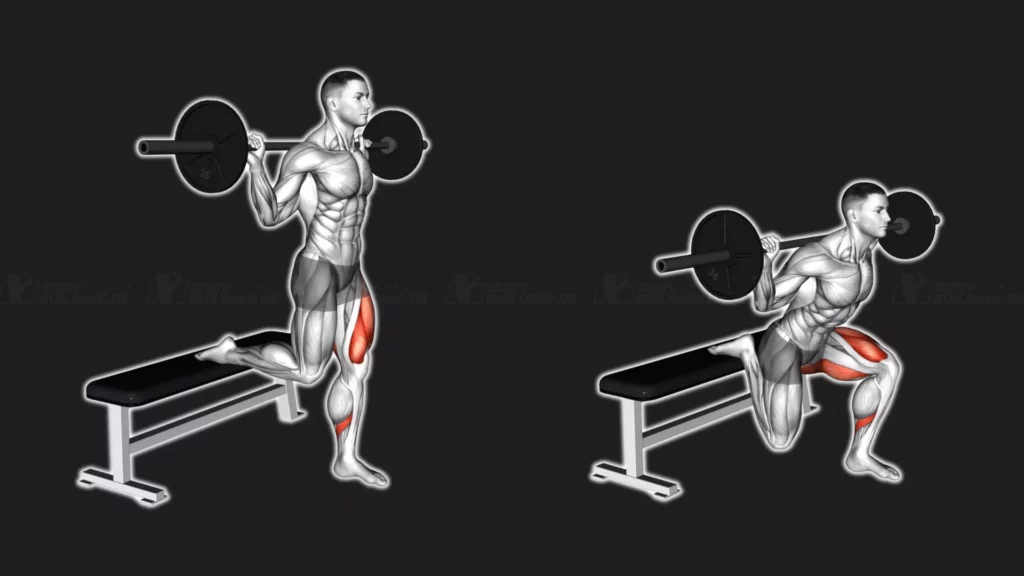 Startposition und Endposition der Fitnessübung Bulgarian Split Squats mit Langhantel
