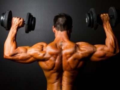 Der perfekte Muskelaufbau Tag Teil 3