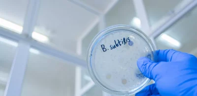 bacillus subtills