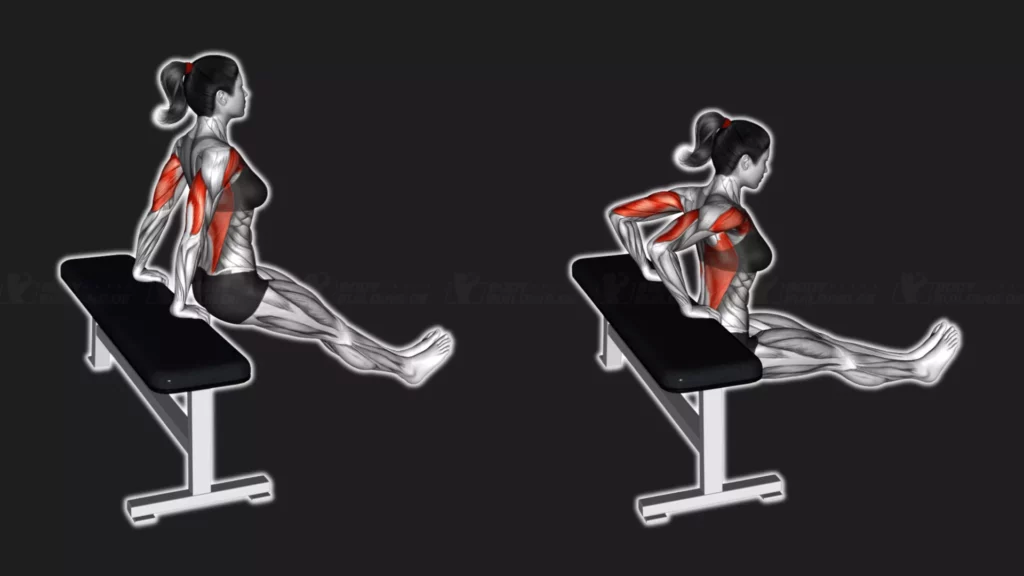 Arnold Dips (Bench Dips) an der Bank – Start- und Endposition